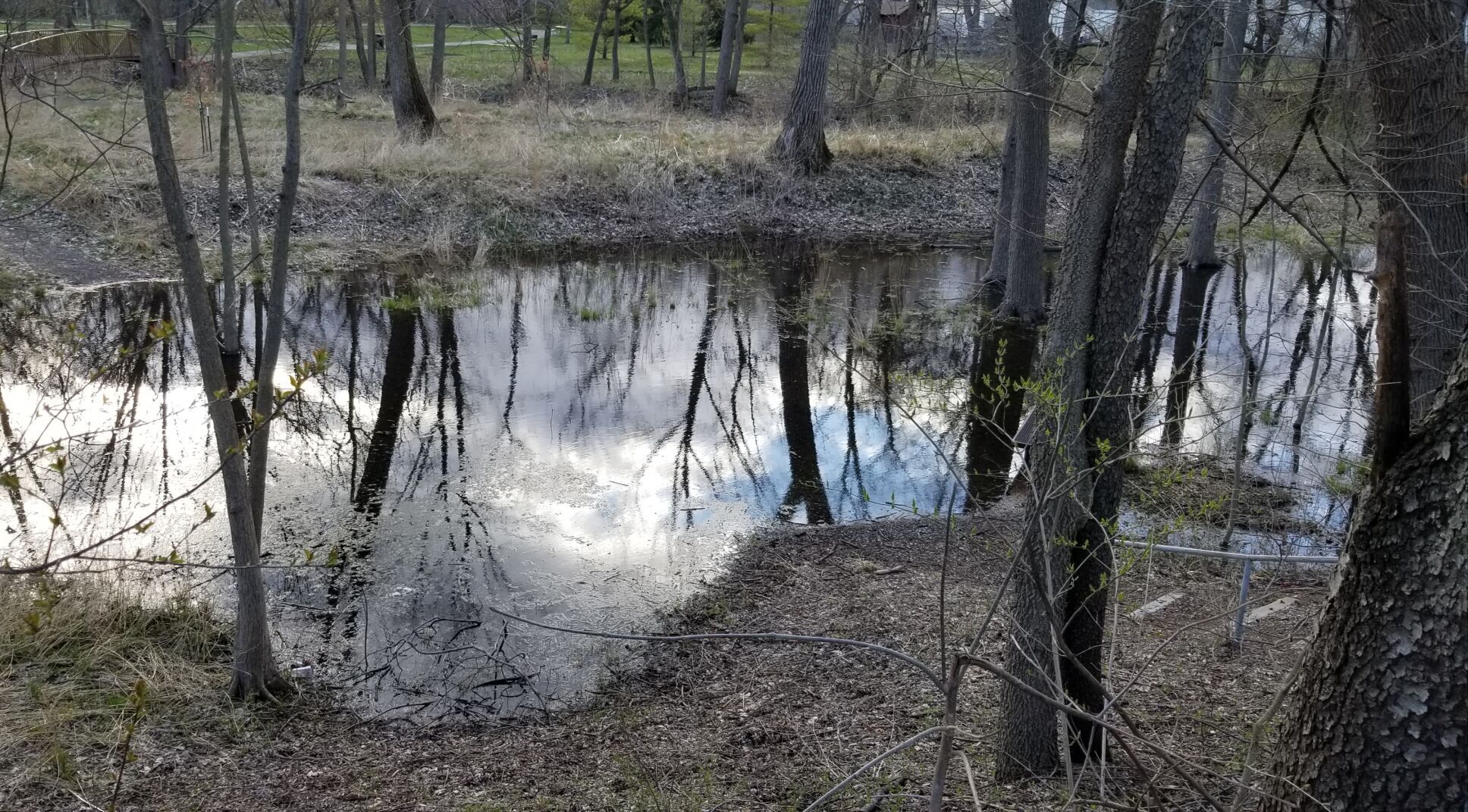 20220407_214747.jpg